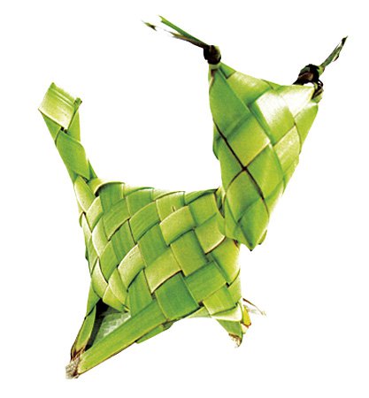 Image does not load (V_FAT_Leaf_Art_4)